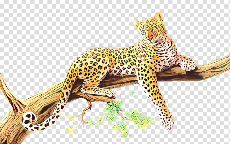 Cats, Leopard, Cheetah, Jaguar, Drawing, Wildlife, Animal Figure, Small To Mediumsized Cats transparent background PNG clipart