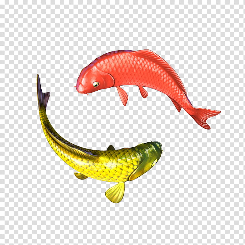 Pond, Koi, Carp, Fish, Goldfish, Painting, Freshwater Fish, Breed transparent background PNG clipart