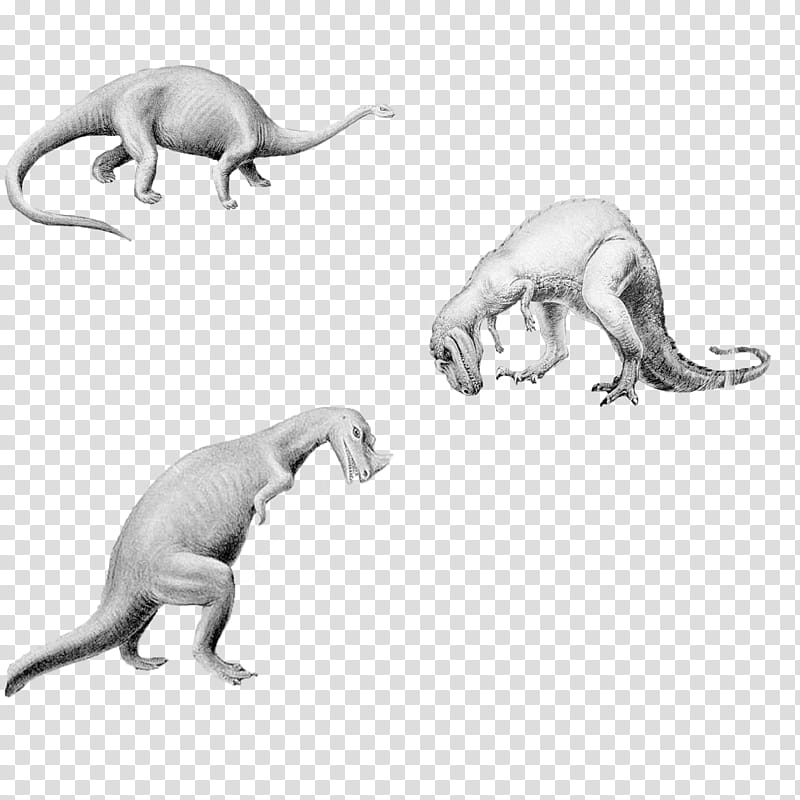 Dinos transparent background PNG clipart