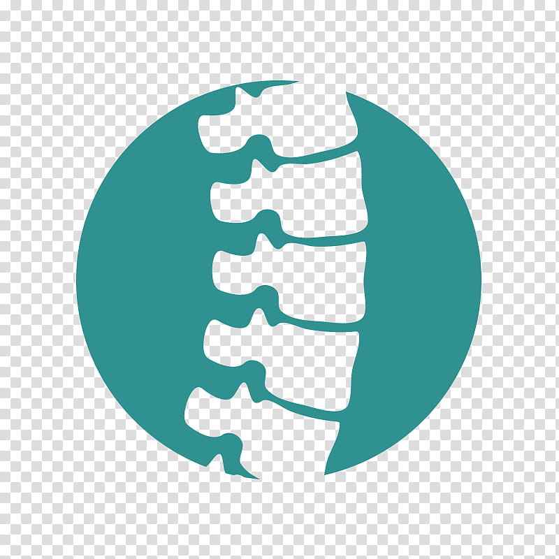 Green Circle, Vertebral Column, Chiropractic, Logo, Back Pain, Physical Therapy, Turquoise, Symbol transparent background PNG clipart