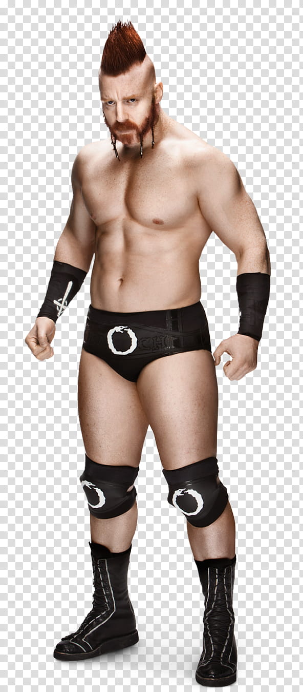 Sheamus Renders  transparent background PNG clipart