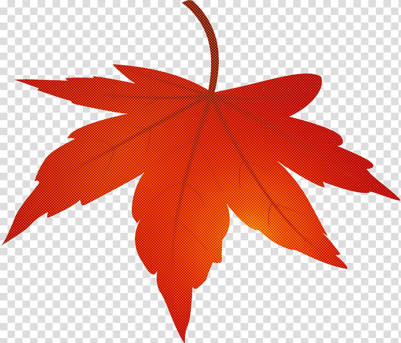 maple leaf autumn leaf yellow leaf, Tree, Red, Orange, Woody Plant, Black Maple, Sweet Gum, Deciduous transparent background PNG clipart