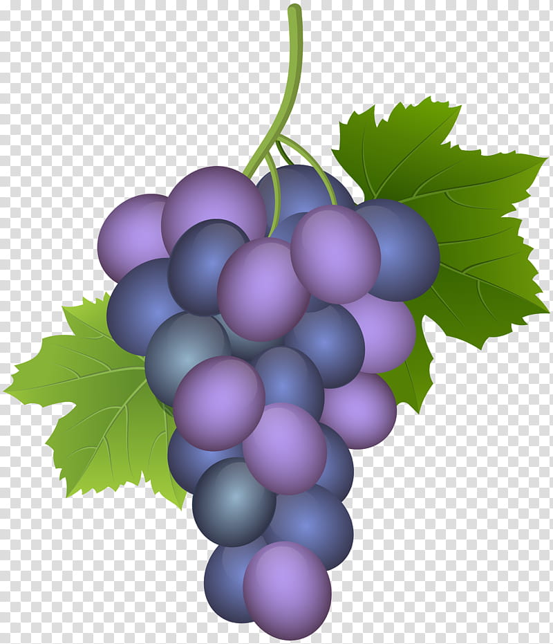 Leaves, Grape, Common Grape Vine, Wine, Must, Concord Grape, Isabella, Seedless Fruit transparent background PNG clipart