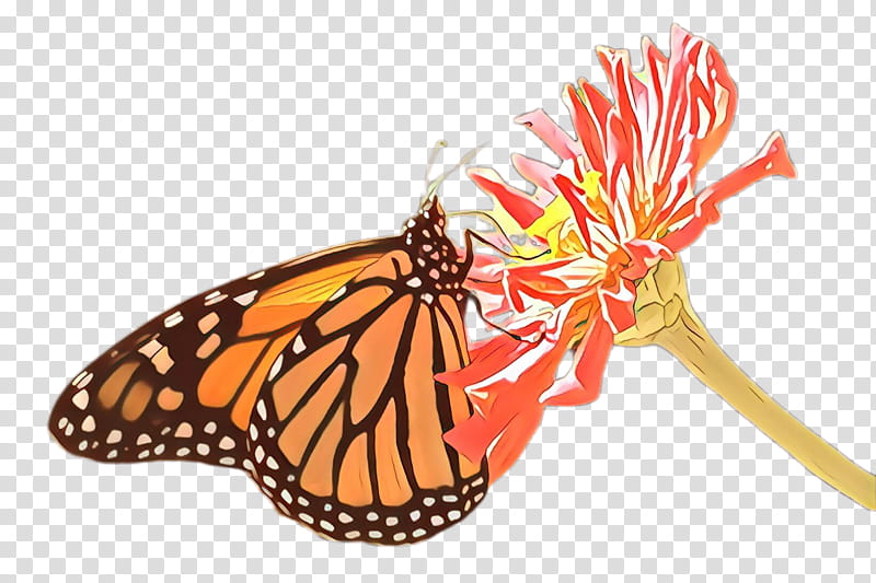 Monarch butterfly, Cartoon, Moths And Butterflies, Cynthia Subgenus, Viceroy Butterfly, Insect, Brushfooted Butterfly, Pollinator transparent background PNG clipart