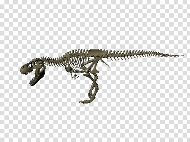 Jurassic Park, Tyrannosaurus, Ankylosaurus, Jurassic Park Operation Genesis, Dinosaur, 3D Modeling, Animation, Video Games transparent background PNG clipart