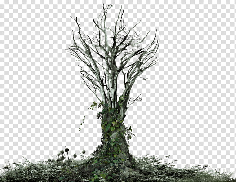 Dead Tree with Ivy Landscape COOL copy transparent background PNG clipart