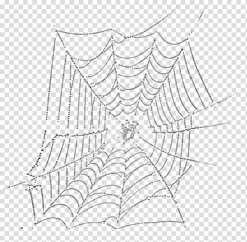 Halloween, black spider web illustration transparent background PNG clipart