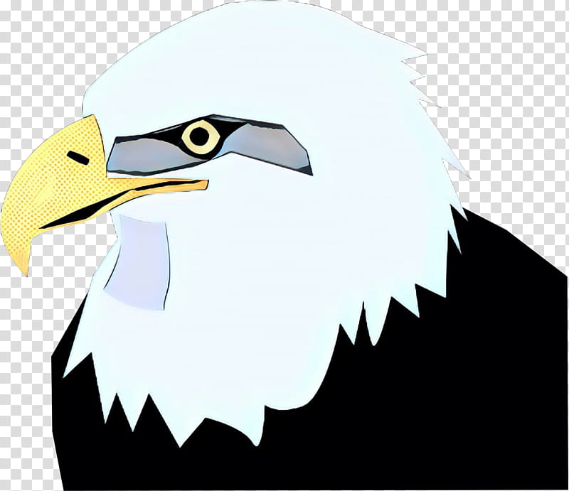 bird bald eagle beak eagle bird of prey, Pop Art, Retro, Vintage, Sea Eagle, Falconiformes transparent background PNG clipart