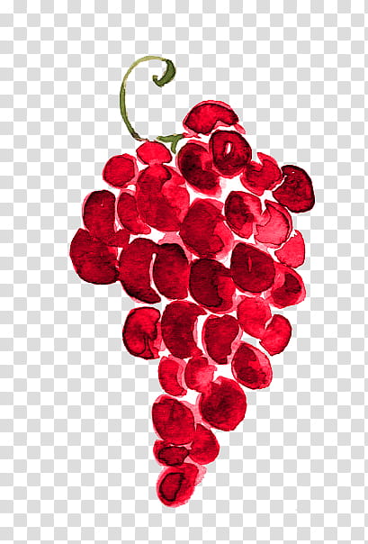 s, red berries transparent background PNG clipart