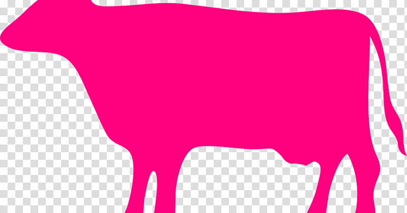 Pink, Angus Cattle, Holstein Friesian Cattle, Jersey Cattle, Beef Cattle, Calf, Kereman Cattle, Hereford Cattle transparent background PNG clipart