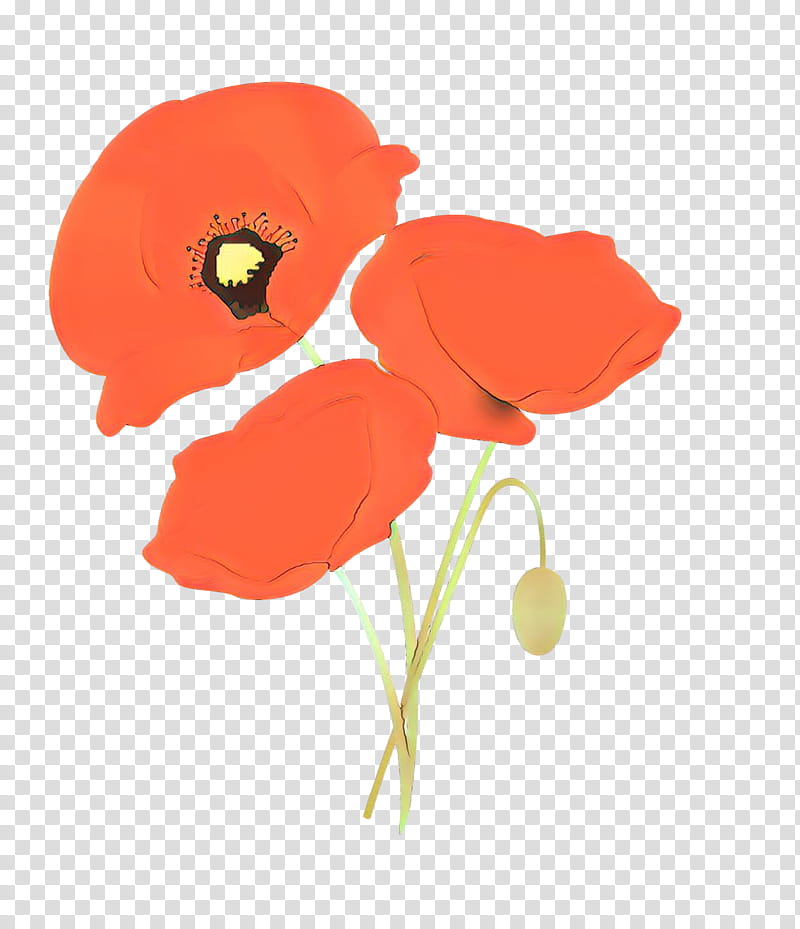 flower coquelicot red poppy plant, Corn Poppy, Petal, Poppy Family, Cut Flowers, Pedicel, Wildflower, Anemone transparent background PNG clipart