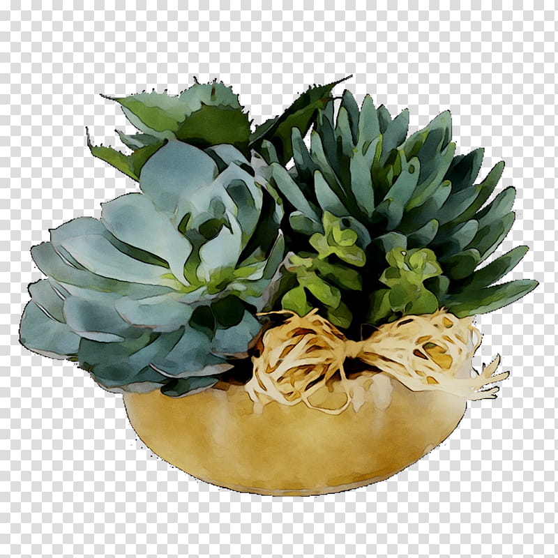 Flower Rose, Flowerpot, Echeveria, Plant, White Mexican Rose, Leaf, Houseplant, Agave transparent background PNG clipart