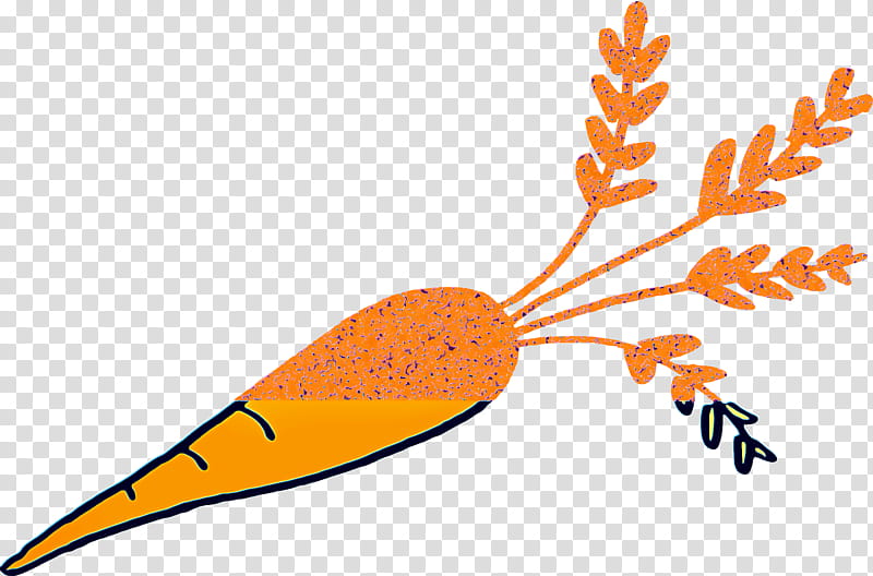 Leaf Drawing, Carrot, Vegetable, Greens, Food, Wild Carrot, Orange, Plant transparent background PNG clipart