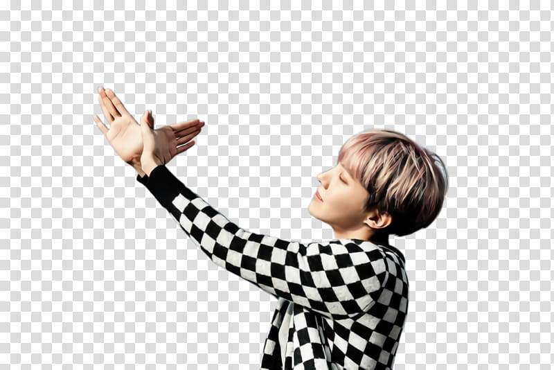 BTS J Hope, JHope, Wings, Spring Day, Blood Sweat Tears, Jungkook, Suga, Arm transparent background PNG clipart