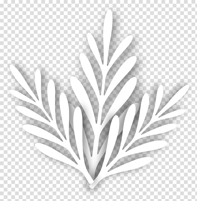 seamless, white leaves transparent background PNG clipart