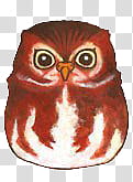 Buhos TrendyLife, maroon and white owl illustration transparent background PNG clipart