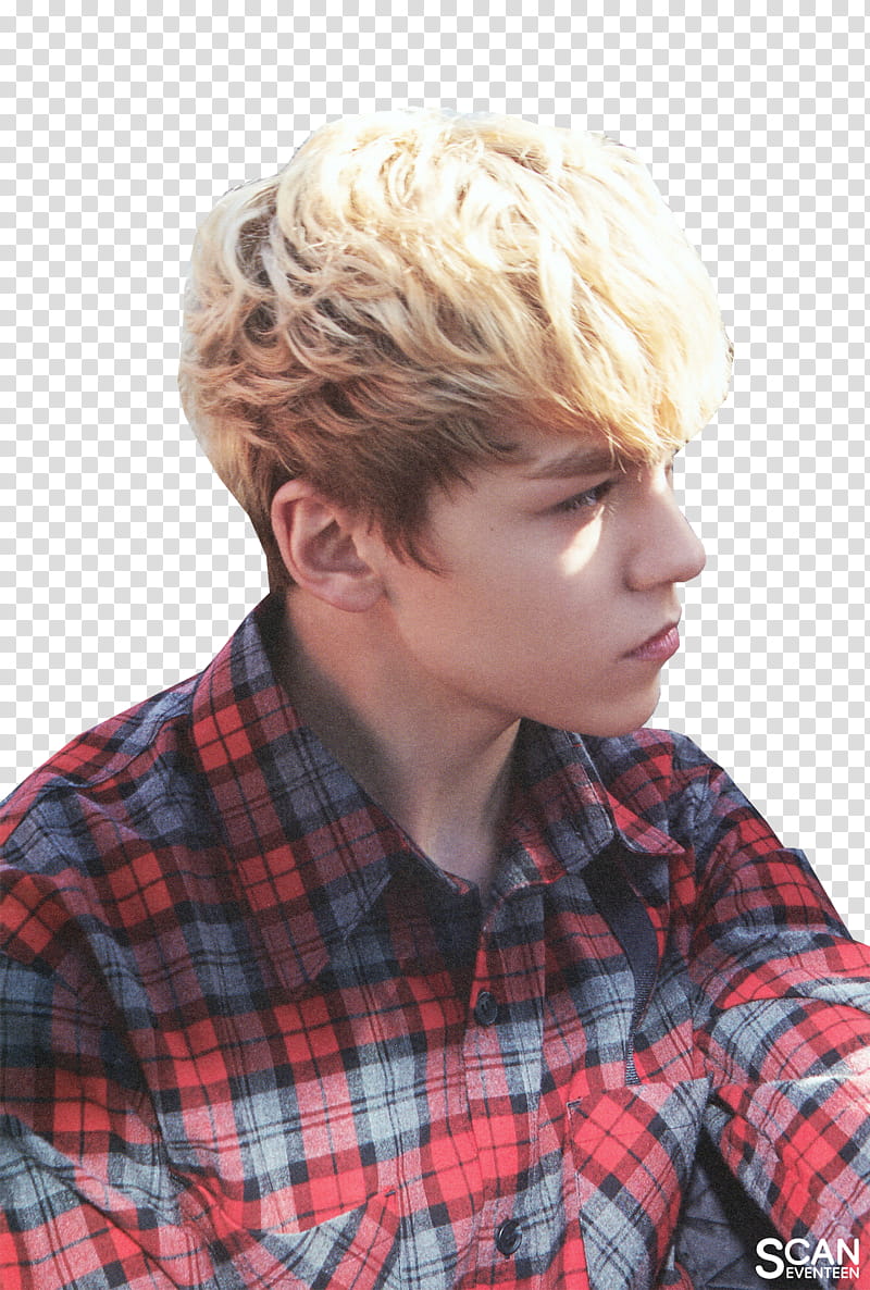 VERNON SEVENTEEN ALONE transparent background PNG clipart