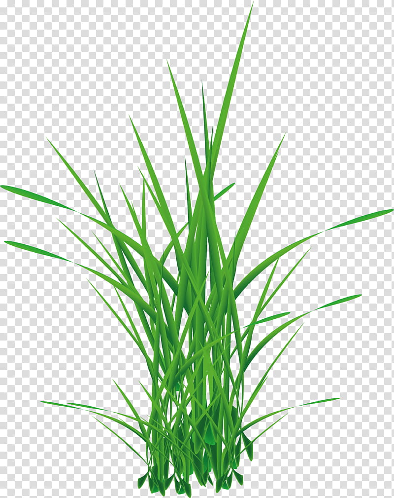 Grass, Pixel Art, Painting, Computer Graphics, Plant, Aquarium Decor, Grass Family, Plant Stem transparent background PNG clipart