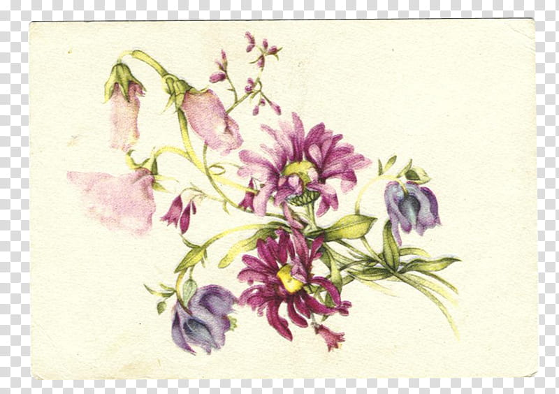 SET Postcards part, pink and purple flowers transparent background PNG clipart