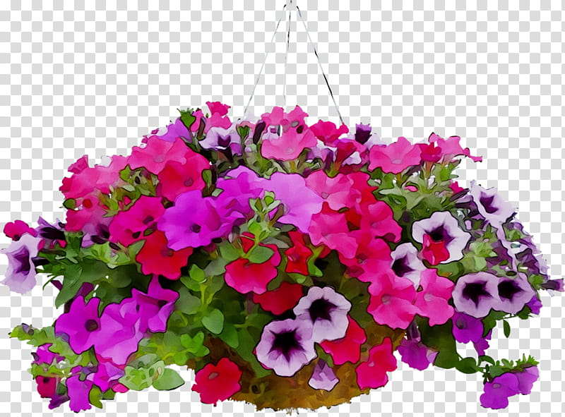 Pink Flowers, Vervain, Floral Design, Cut Flowers, Flower Bouquet, Annual Plant, Herbaceous Plant, Violet transparent background PNG clipart