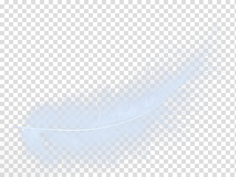 Princess, white feather transparent background PNG clipart