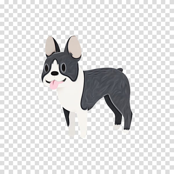 Bulldog Drawing, Boston Terrier, Bulldog, French Bulldog, Cairn Terrier, Puppy, Breed, Companion Dog transparent background PNG clipart