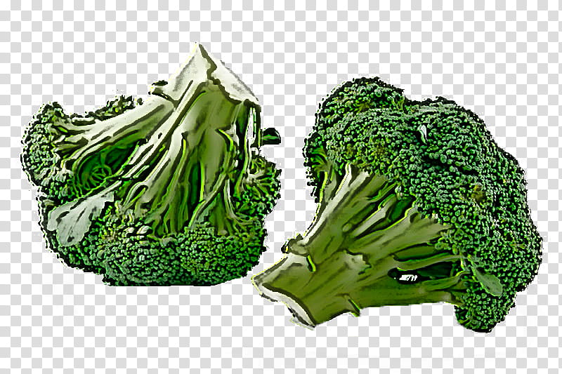leaf vegetable broccoli vegetable wild cabbage plant, Food, Grass, Romaine Lettuce transparent background PNG clipart
