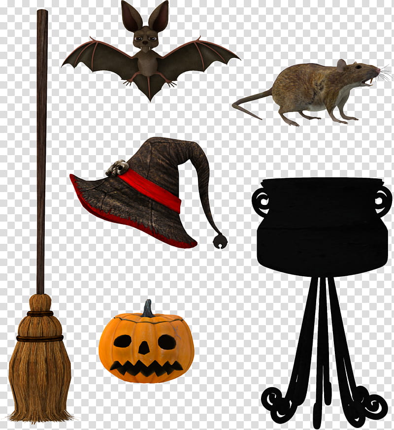 Witches Brew, assorted Halloween Party accessories transparent background PNG clipart