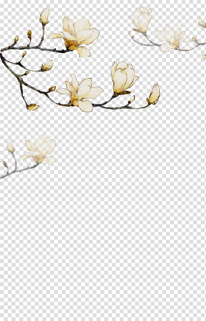 branch flower petal plant blossom, Watercolor, Paint, Wet Ink, Magnolia, Magnolia Family transparent background PNG clipart