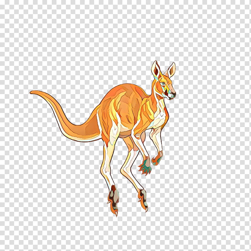 Kangaroo, Red Kangaroo, Macropods, Boxing Kangaroo, Animal Figure, Wildlife, Tail, Macropodidae transparent background PNG clipart