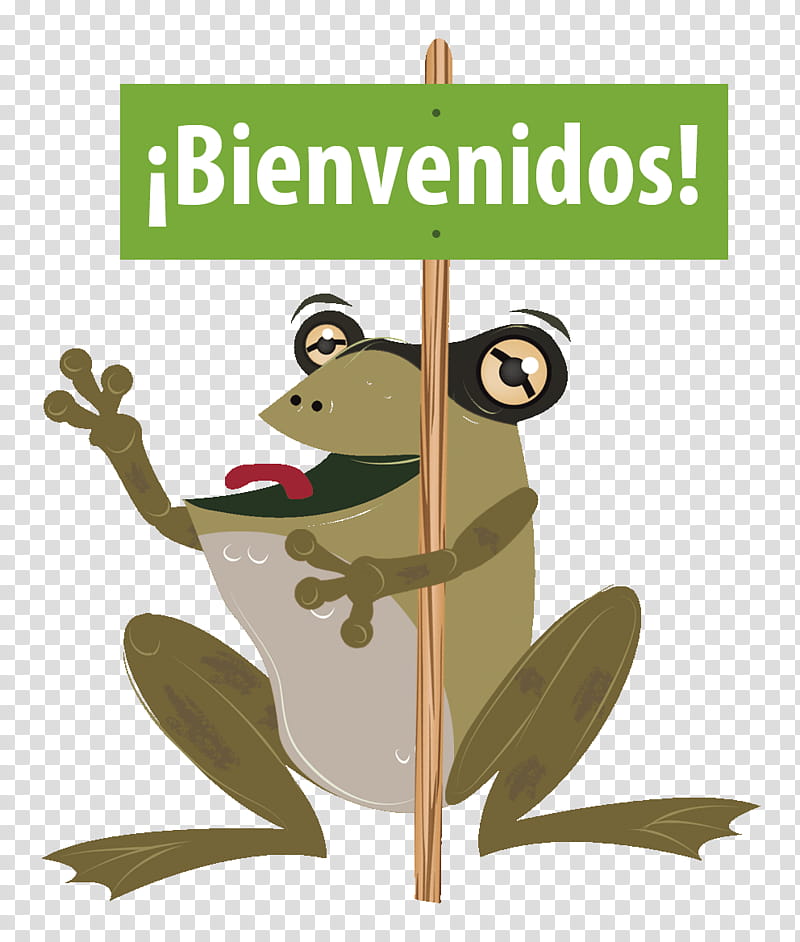 Frog, Natural Environment, Organization, Tree Frog, Education
, Tourism, Sustainable Tourism, Local Development transparent background PNG clipart