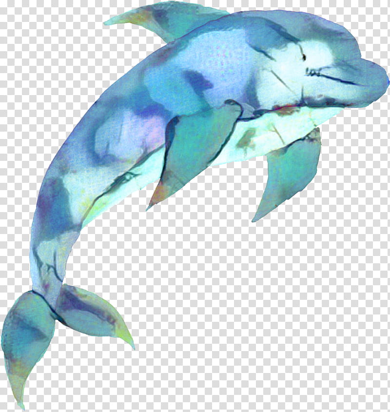 Watercolor Drawing, Dolphin, Poster, Watercolor Painting, Cetaceans, Age Of Enlightenment, Dots Per Inch, Megabyte transparent background PNG clipart