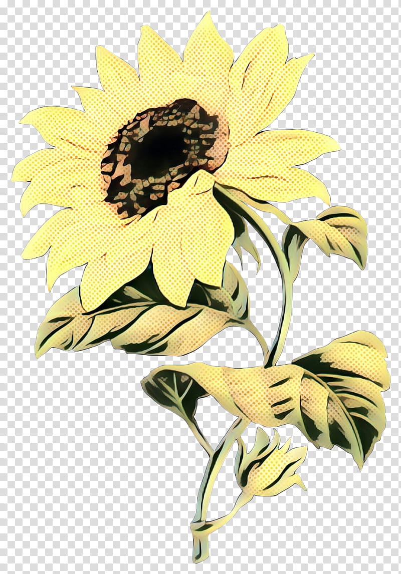 Flowers, Common Sunflower, Floral Design, Cut Flowers, Yellow, Plant, Sunflower Seed, Bumblebee transparent background PNG clipart