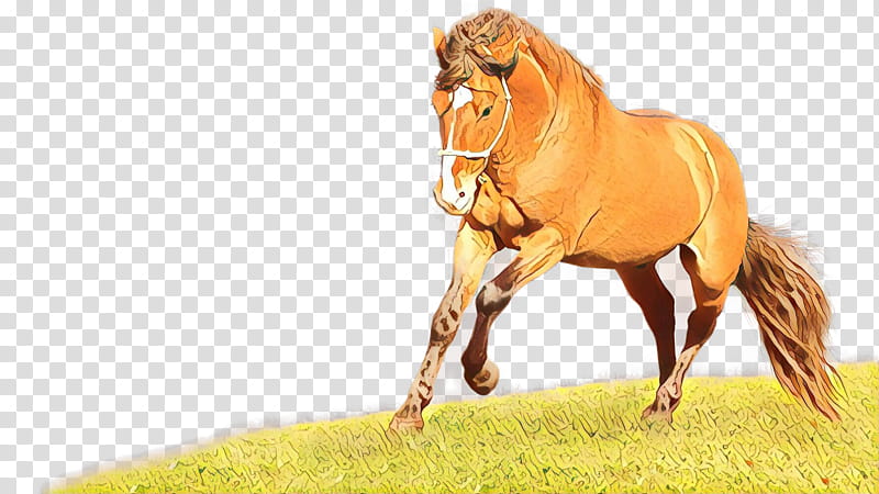 Cartoon Grass, Equine Coat Color, Cleveland Bay, Wild Horse, Animal, Collection, Equus, Pasture transparent background PNG clipart