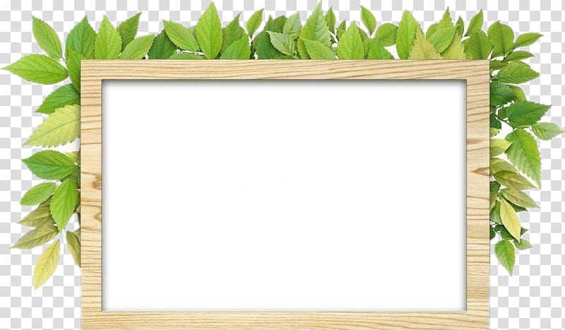Background Poster Frame, Fotolia, Green, Frame, Leaf, Grass, Rectangle, Tree transparent background PNG clipart
