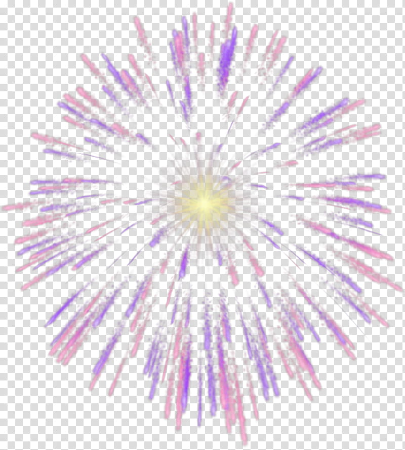 purple fireworks illustration transparent background PNG clipart