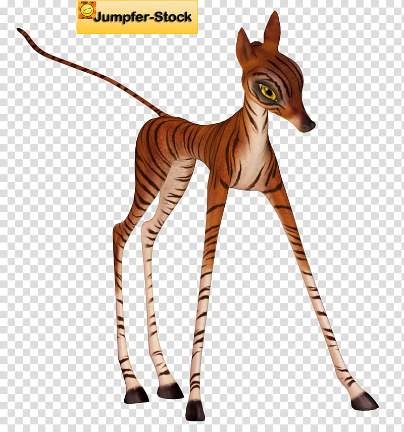 Fantasy Animals  , Jumfer, orange tiger illustration transparent background PNG clipart