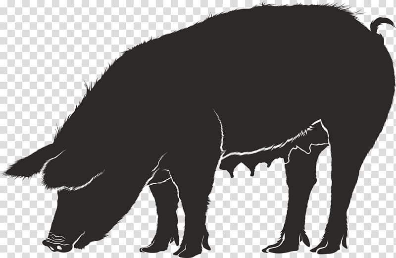 Pig, Pig Roast, Silhouette, Peccary, Pork, Wild Boar, Snout, Wildlife transparent background PNG clipart