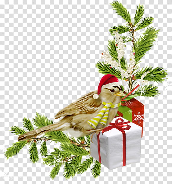 Christmas And New Year, Christmas Day, Christmas Tree, Holiday, Blog, 2019, Gift, Bird transparent background PNG clipart