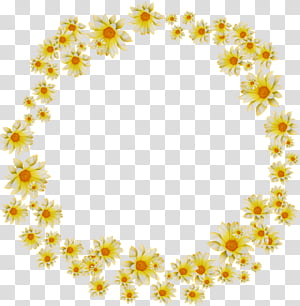 yellow plant flower transparent background PNG clipart thumbnail