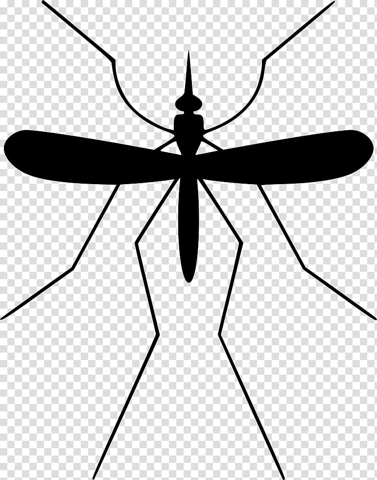 Mosquito Insect, Pest Control, Mosquito Control, Bug Zapper, , Insect Trap, Fly, Gnat transparent background PNG clipart