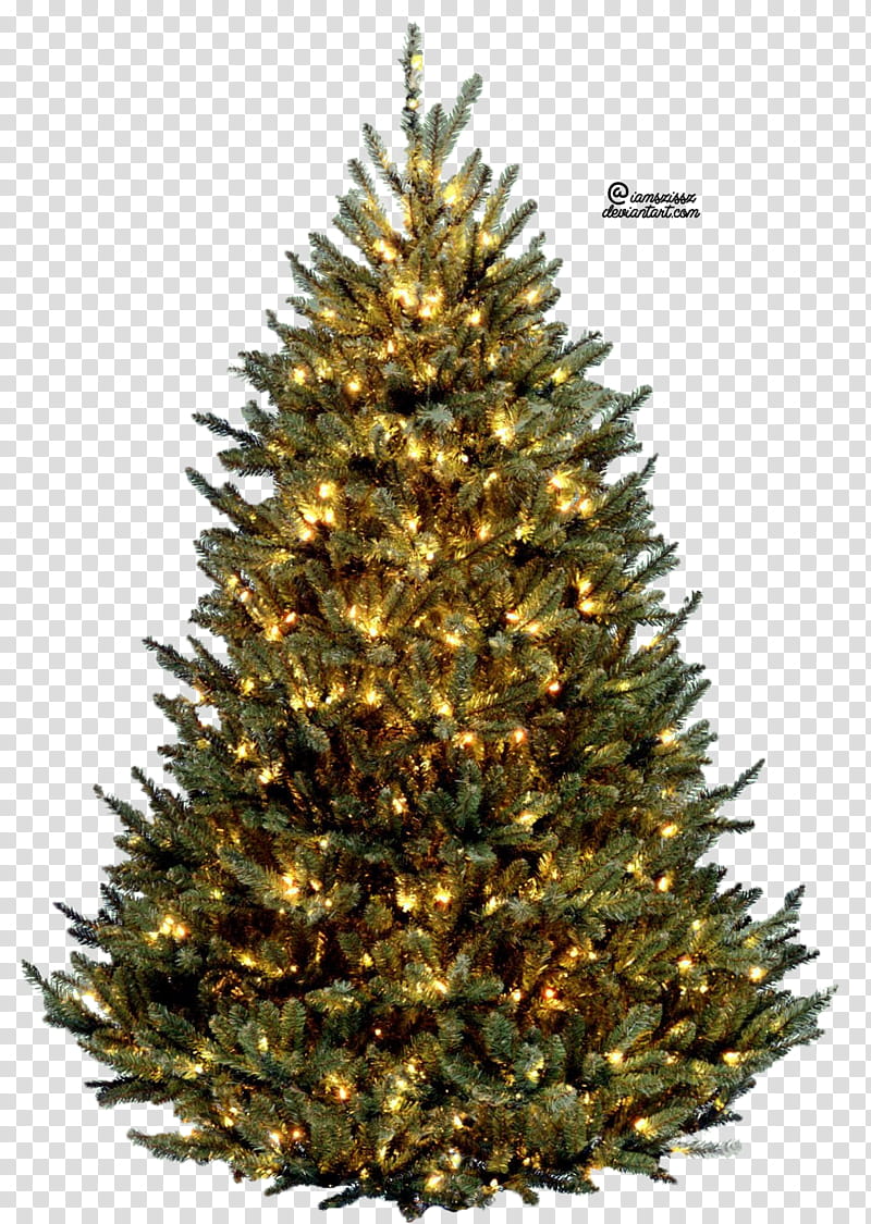 CHRISTMAS MEGA, lighted green Christmas tree transparent background PNG clipart