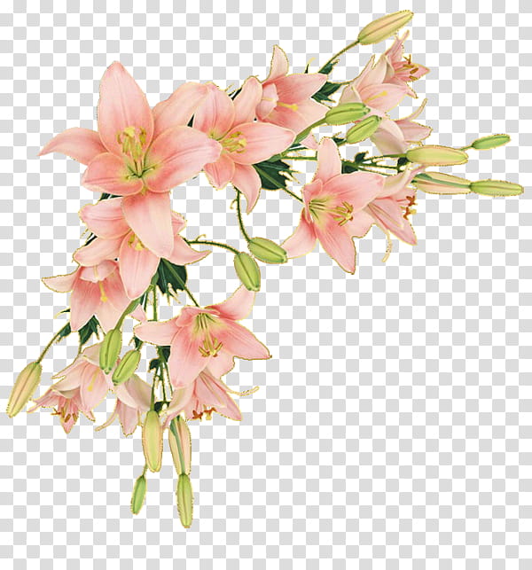 Bouquet Of Flowers Drawing, BORDERS AND FRAMES, Paper, Flower Bouquet, Floral Design, Flores De Corte, Painting, Cut Flowers transparent background PNG clipart