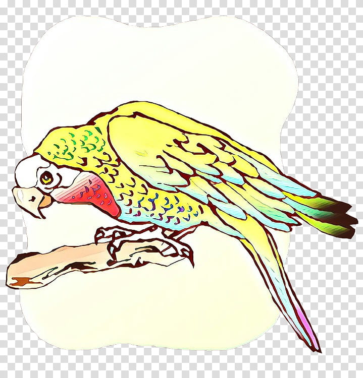 Eagle, Macaw, Parakeet, Beak, Feather, Pet, Bird, Peregrine Falcon transparent background PNG clipart