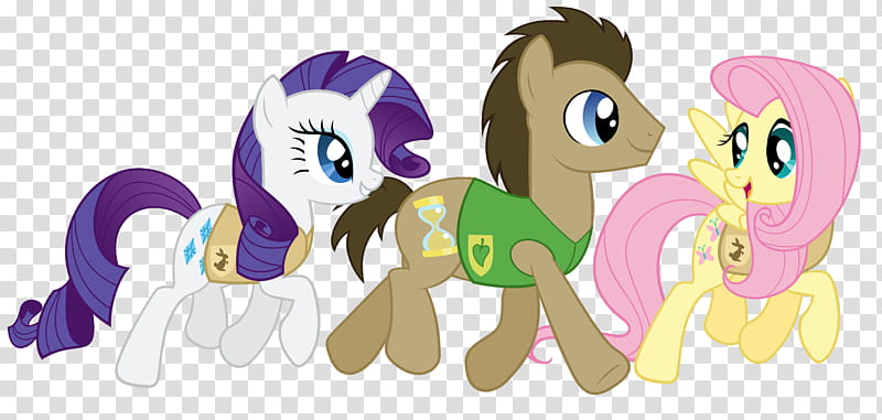 Lets go Wrap Winter up, three My Little Pony friendship is magic rarity characters transparent background PNG clipart