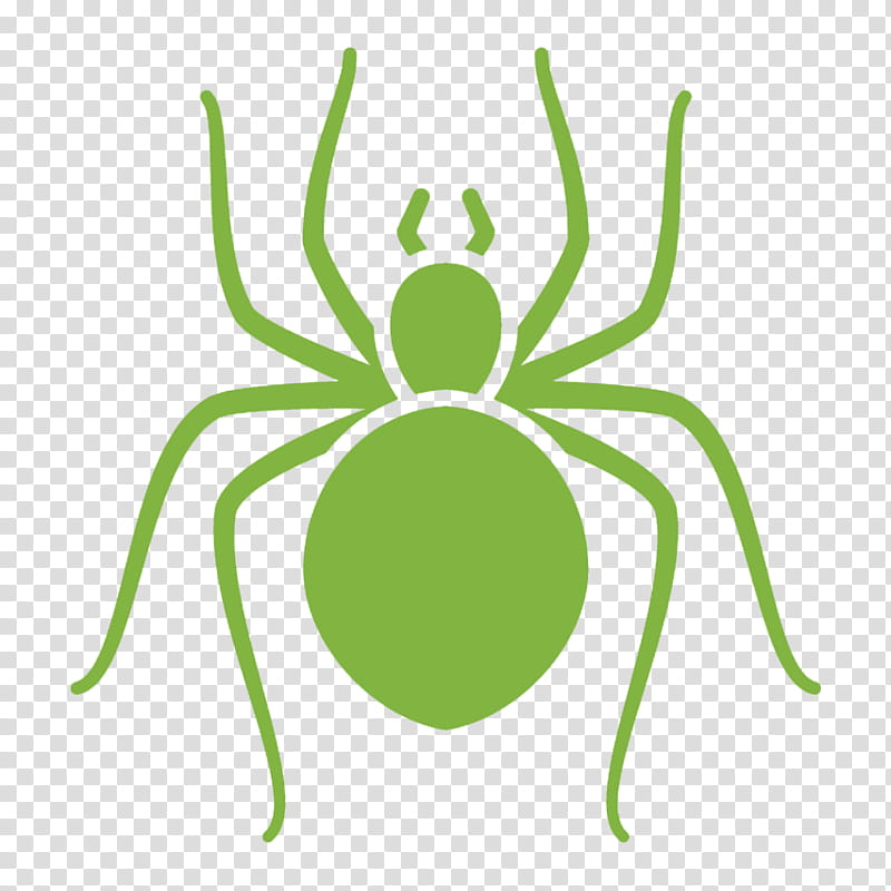 Cartoon Spider, Insect, Pest Control, Cockroach, Us Pest Protection, Ant, Termite, Exterminator transparent background PNG clipart