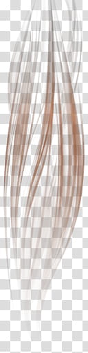 DOALR Mugen Tenshin Shinobi for XNALara XPS, brown hair illustration transparent background PNG clipart
