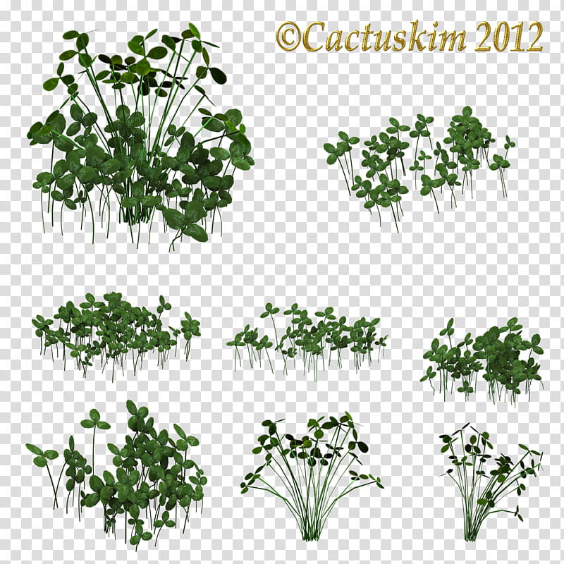 Clover Clumps KL, green leaves collage transparent background PNG clipart