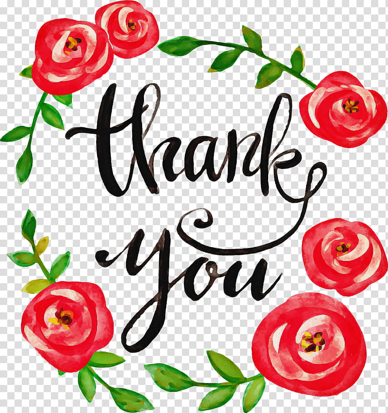 Thank You, Watercolor Painting, Greeting Note Cards, Flower, Rose, Floral Design, THANK YOU Frame, Red transparent background PNG clipart