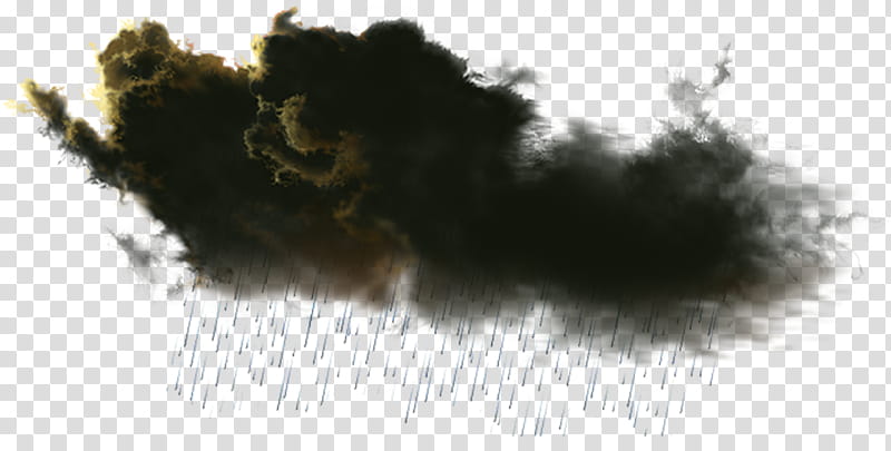 Rain Cloud, Storm, Drawing, Lightning, Atmospheric Phenomenon, Sky, Tree transparent background PNG clipart